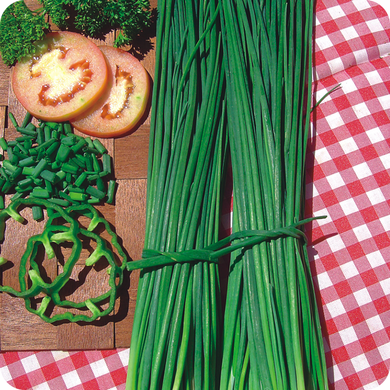 Kit Cápsulas 4 - Cebolinha Todo Ano